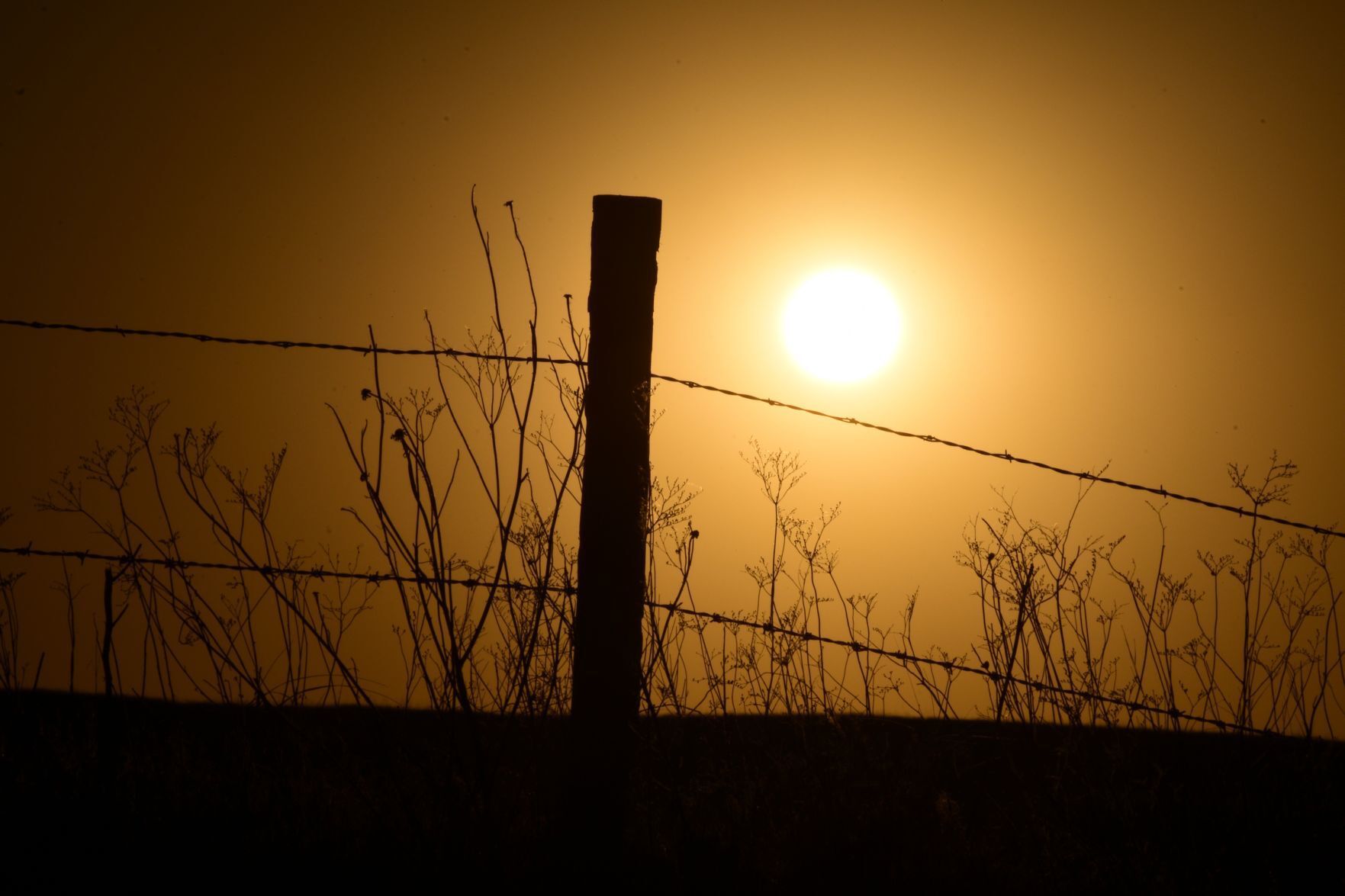 20190714_new_sandhills_pic7